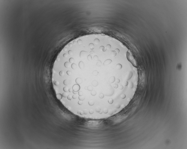 X0000116640418201001251140