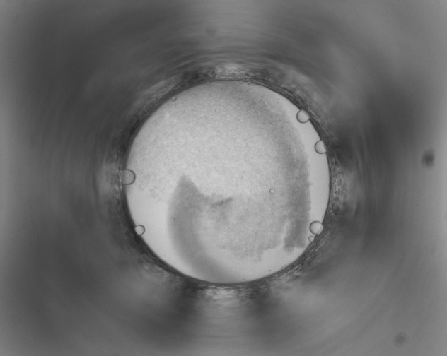 X0000116640419201001251140