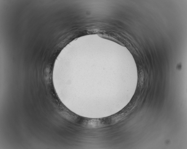 X0000116640420201001251140