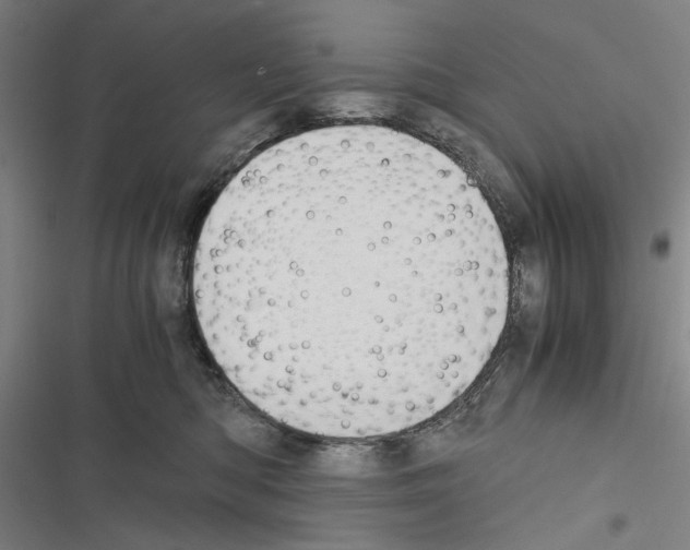 X0000116640422201001251140