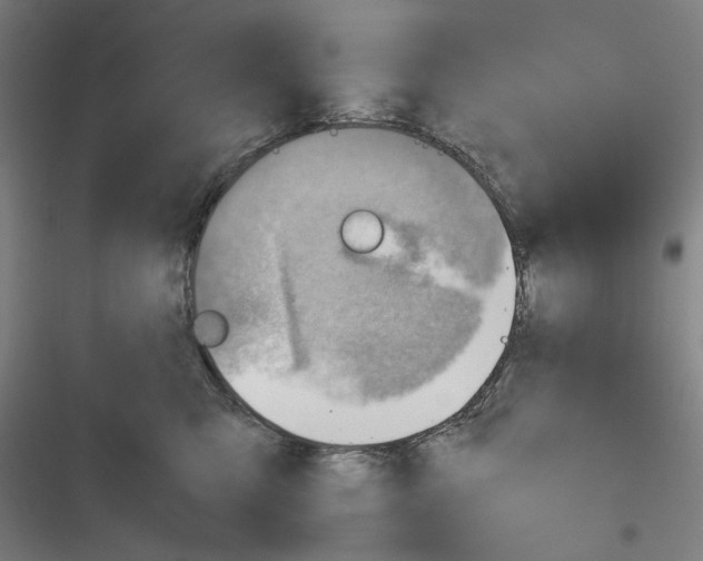 X0000116640423201001251140