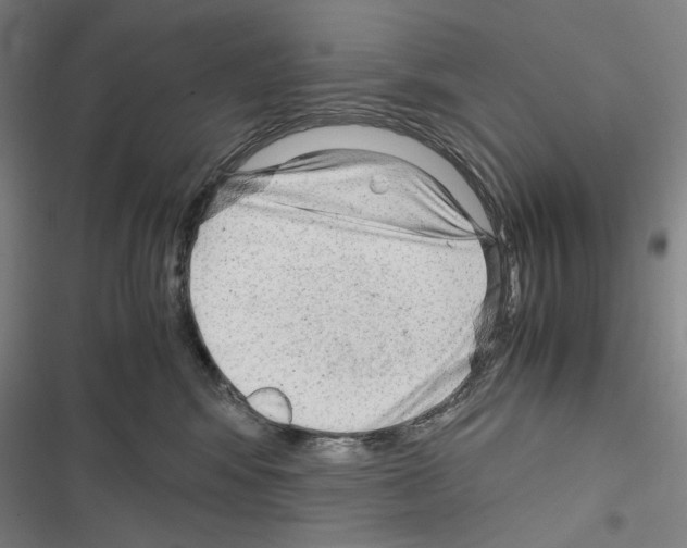 X0000116640424201001251140