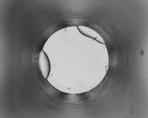 X0000116640425201001251140