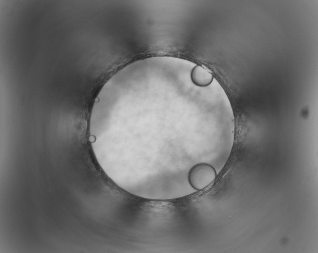 X0000116640427201001251140