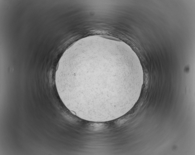 X0000116640428201001251140