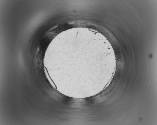 X0000116640429201001251140