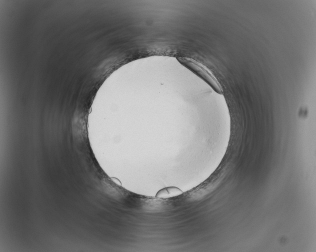 X0000116640432201001251140