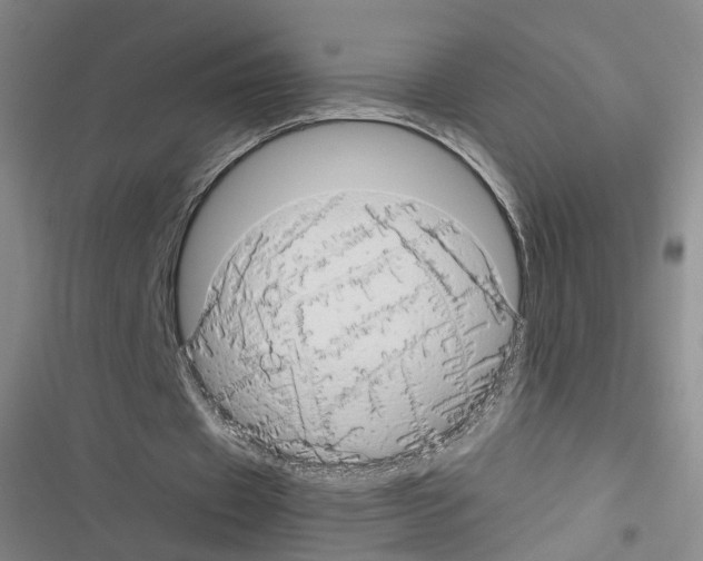 X0000116640433201001251139