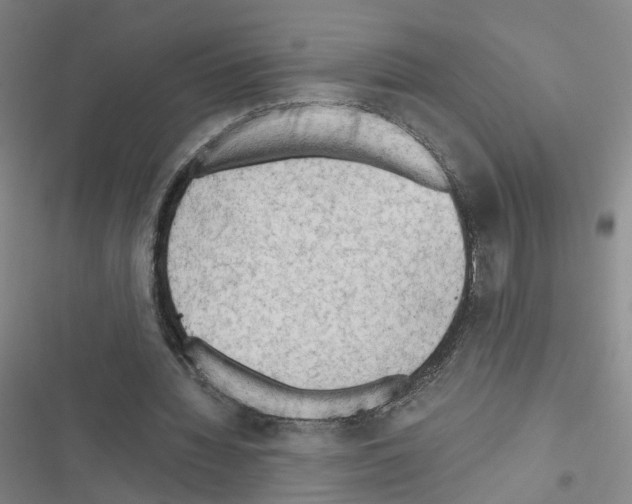 X0000116640436201001251139