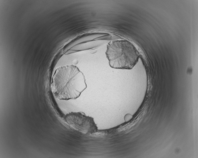 X0000116640437201001251139