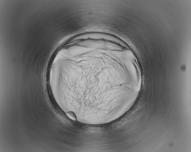 X0000116640438201001251139