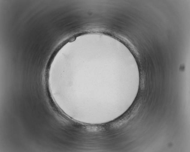 X0000116640439201001251139