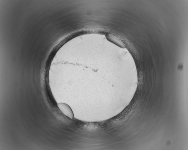 X0000116640440201001251139