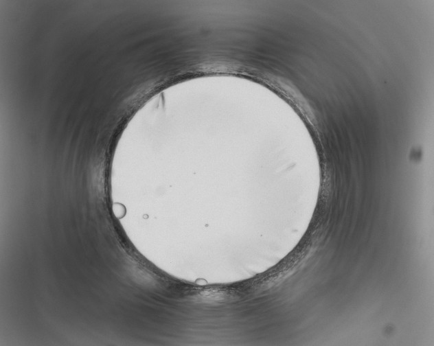 X0000116640441201001251139