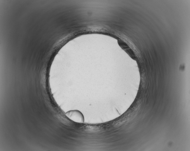 X0000116640442201001251139