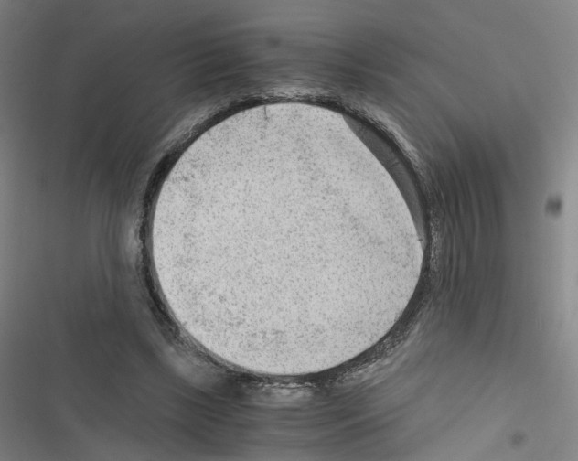 X0000116640443201001251139