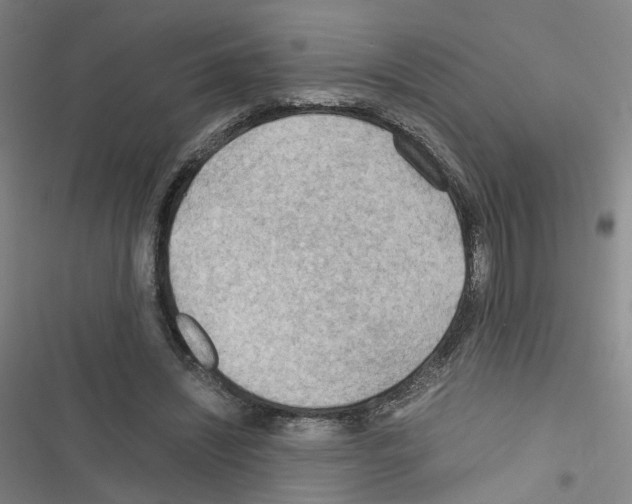 X0000116640444201001251139