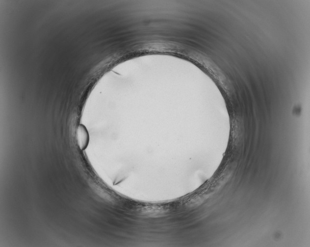 X0000116640445201001251139