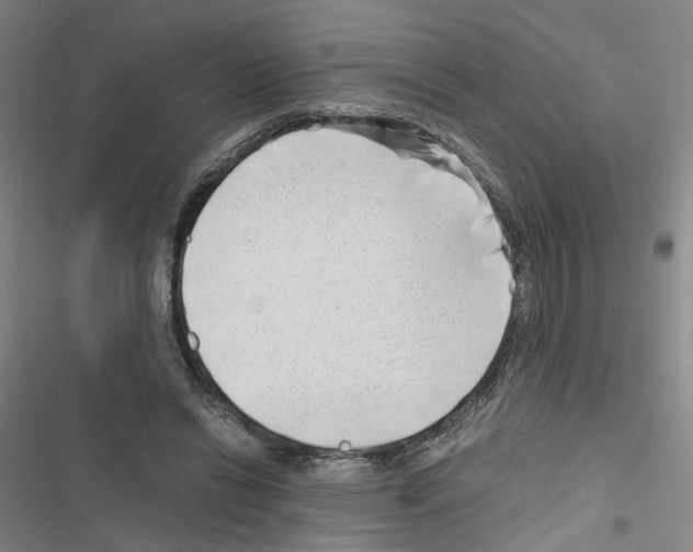 X0000116640446201001251139