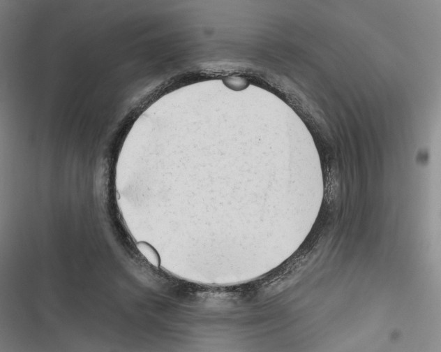 X0000116640448201001251139