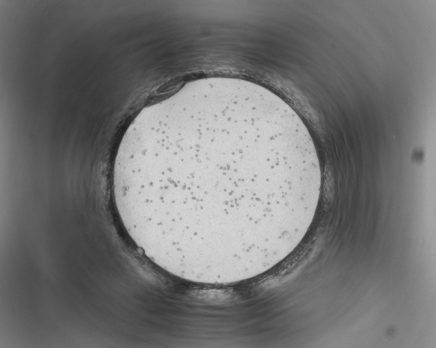 X0000116640449201001251139