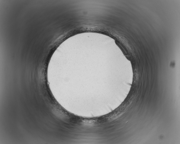 X0000116640450201001251139