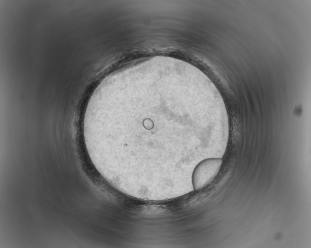 X0000116640451201001251139