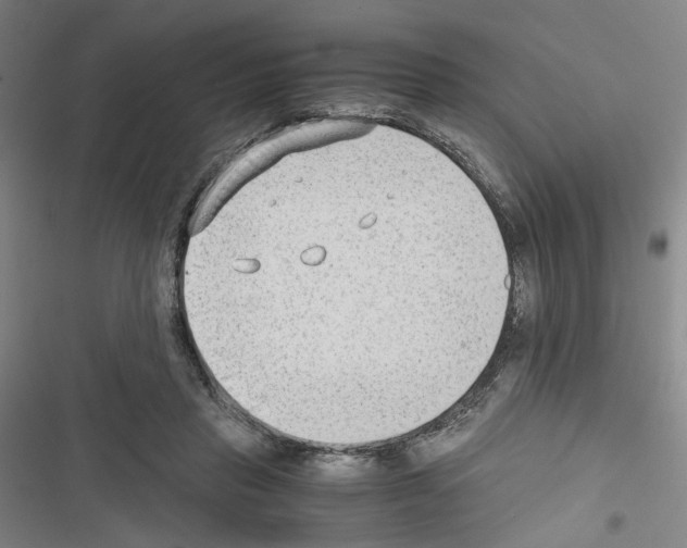 X0000116640453201001251139