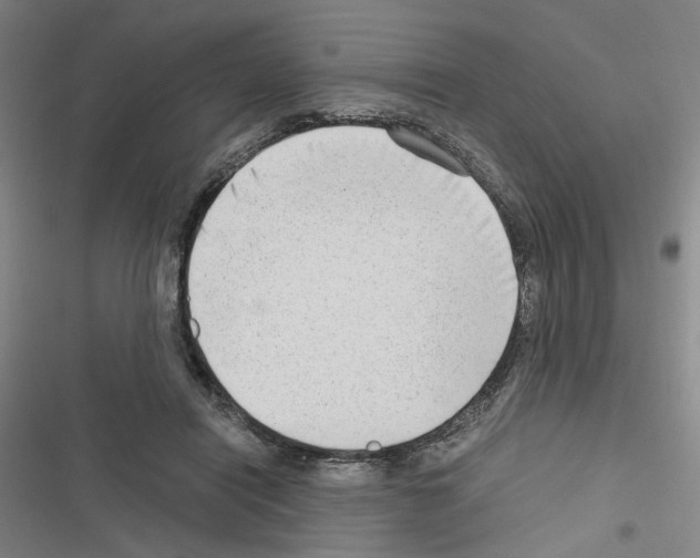 X0000116640454201001251139