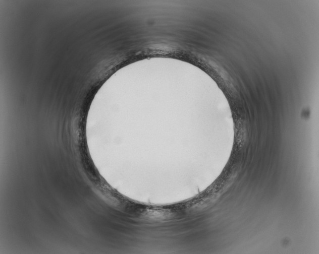 X0000116640455201001251139