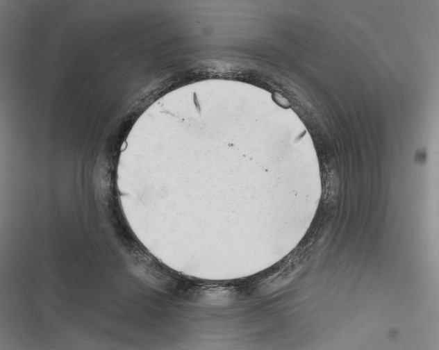 X0000116640456201001251139