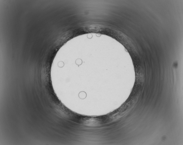 X0000116640460201001251139