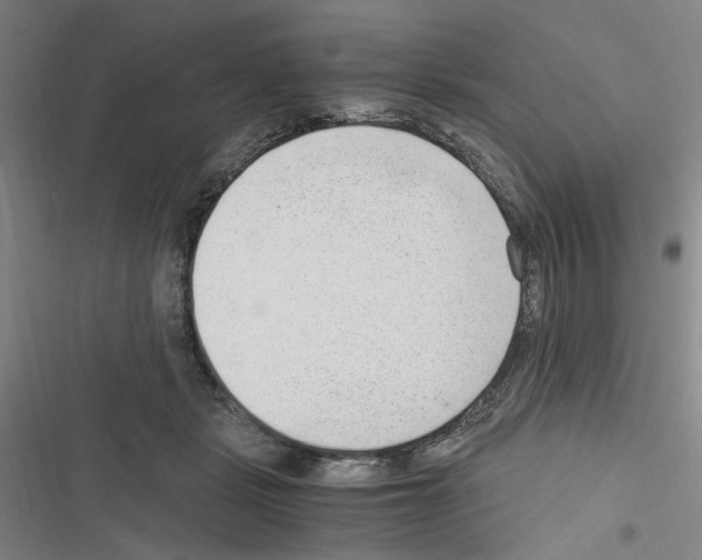 X0000116640461201001251139