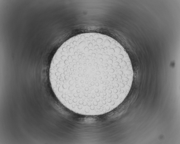 X0000116640462201001251139