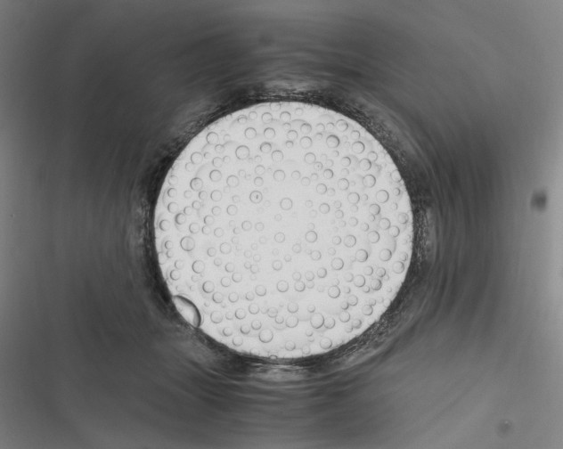 X0000116640463201001251139