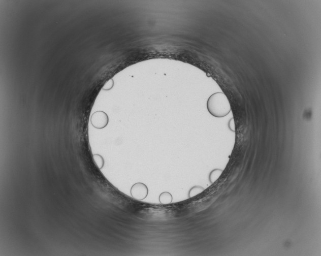 X0000116640464201001251139