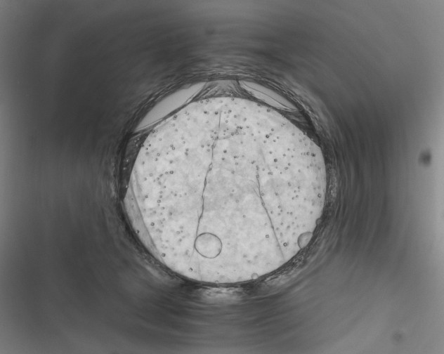 X0000116640465201001251139