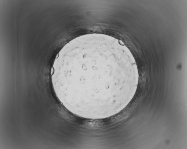 X0000116640466201001251139