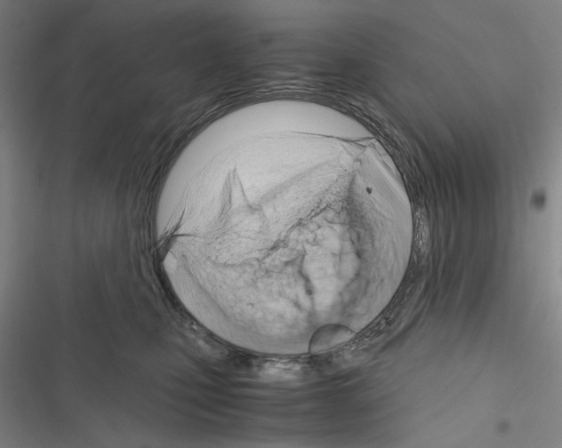 X0000116640471201001251139