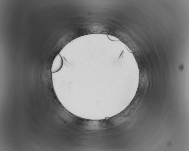 X0000116640473201001251140