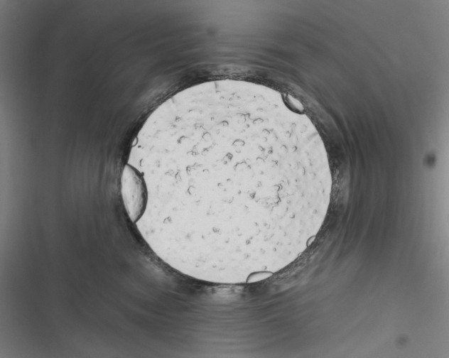 X0000116640474201001251140