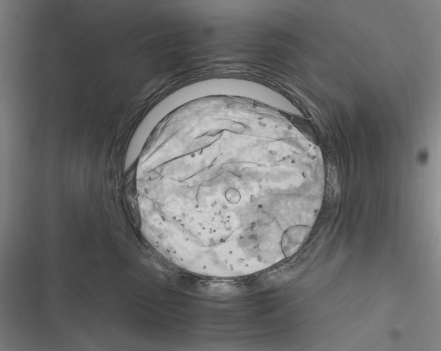 X0000116640475201001251140