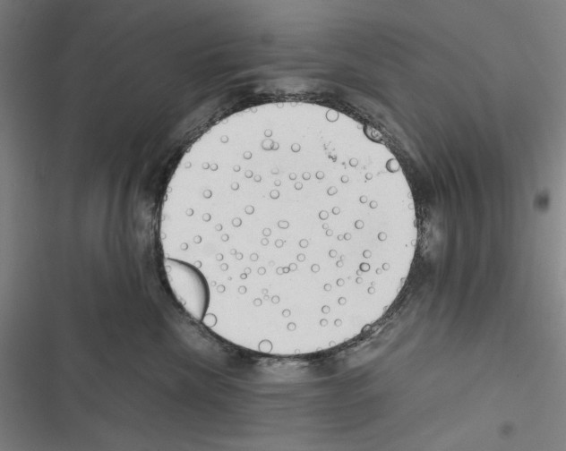 X0000116640476201001251140