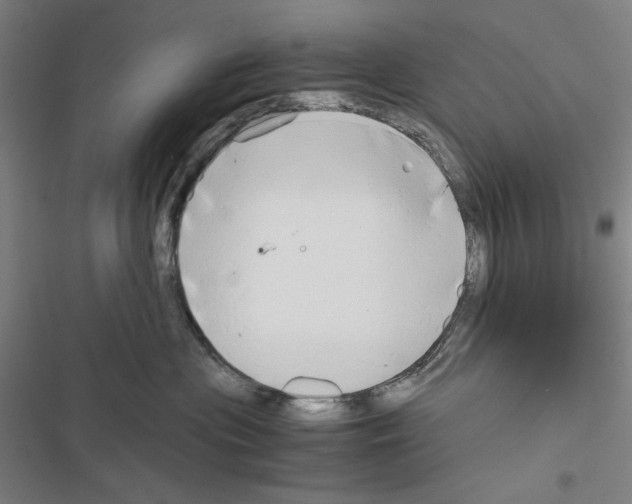 X0000116640477201001251140