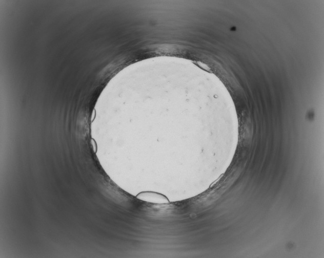 X0000116640478201001251140