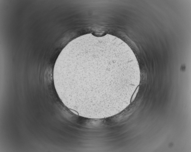 X0000116640479201001251140