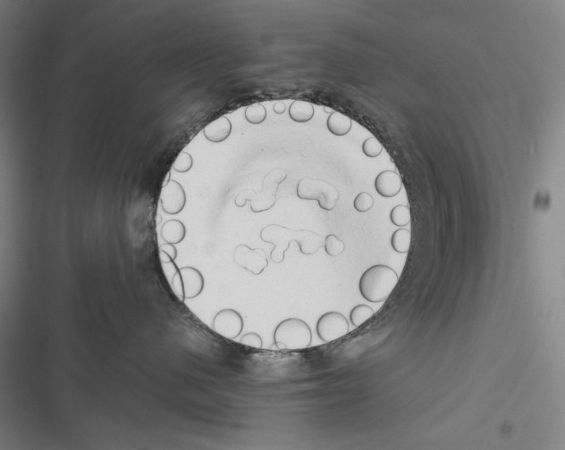 X0000116640480201001251140