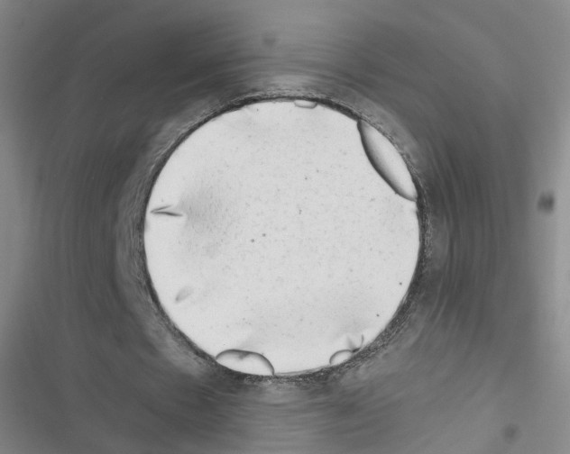 X0000116640481201001251139