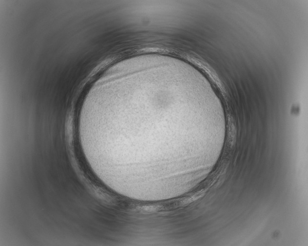 X0000116640482201001251139