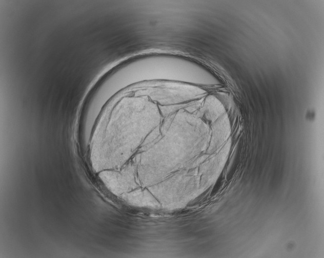 X0000116640484201001251139